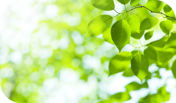 環境化学品事業