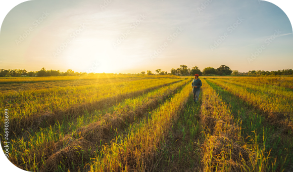 アクリビジネス
