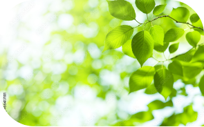 環境化学品事業