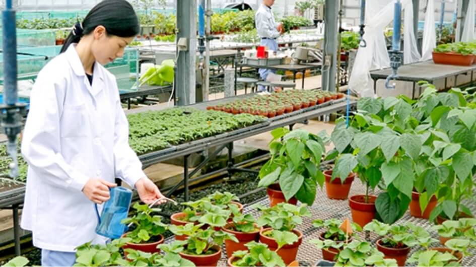 一目でわかる日本曹達