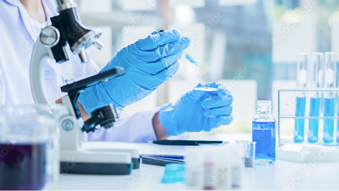 価値創造を支える強み