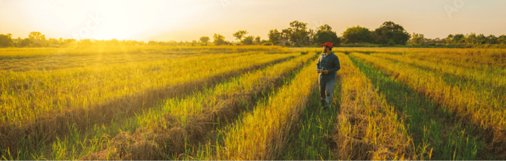 アグリカルチャー